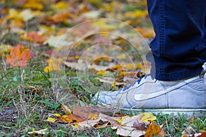 Feet sneakers walking on fall leaves