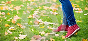 Feet sneakers walking on fall leaves