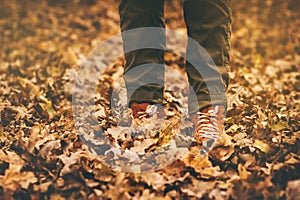 Feet sneakers walking on fall leaves Outdoor