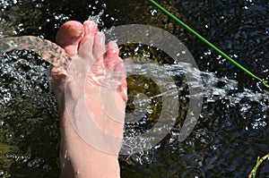 Feet under cold water