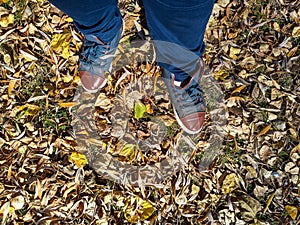 shoes and autumn leaves photo