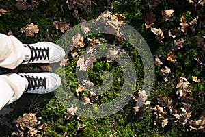 feet in white sneakers on green grass with autumn oak leaves. View from above. copy space