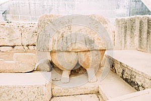 Feet of a woman, fragment of a huge statue of the mother goddess in Tarxien temple in Malta photo