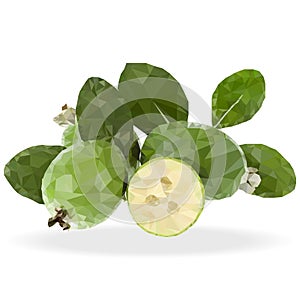 Feijoa fruit
