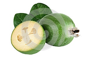 Feijoa fruit isolated on white background