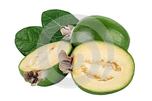 Feijoa fruit isolated on white background