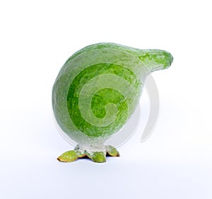 Feijoa green fruit in the shape of a kiwi or other bird photographed in New Zealand, NZ