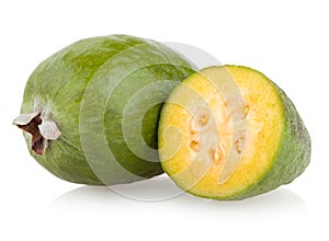 Feijoa