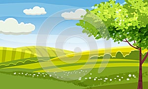 Felds and hills rural landscape. Cartoon countryside valley with green hills trees flowers blue sky and curly clouds