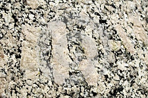 Feldspar crystals in a magmatic rock photo