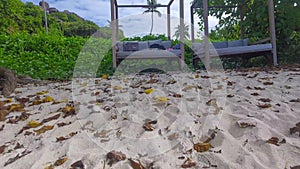 Felicite Island, close to La Digue, Seychelles. Aerial view of tropical coastline on a sunny day