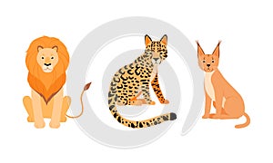 Felid or Wild Cat as Carnivore Animal with Lion and Leopard Vector Set