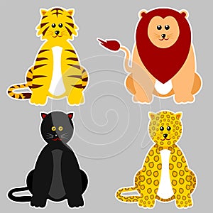 Felidae Family