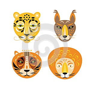 Feline animals portraits.. Leopard, lynx, lion and tiger