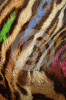 Feline fur background