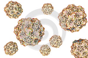 Feline panleukopenia virus