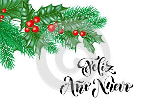 Feliz Ano Nuevo Spanish Happy New Year holiday hand drawn calligraphy text for greeting card background design template. Vector Ch