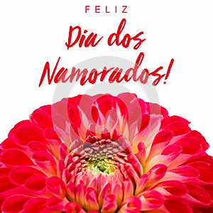 Feliz Dia dos Namorados! text in Portuguese: Happy Valentineâ€™s Day! and red and pink dahlia flower