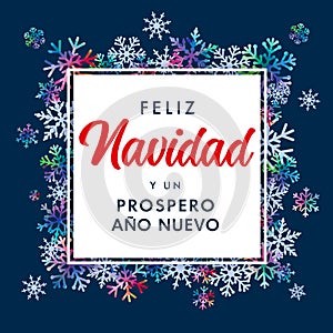Feliz Navidad Spanish text, Prospero Ano Nuevo - translate: Merry Christmas and Happy New Year