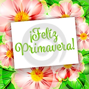 Feliz Primavera 1