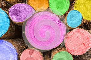 Felled Logs - Painted and Stacked, Waiting To Be Picked Up By The Logging Industrie