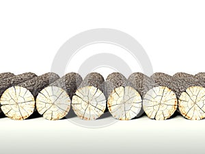 Felled tree stumps, background and copyspace