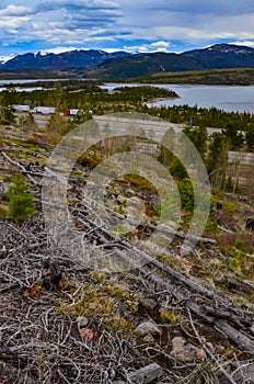 Felled trees in the hills near a mountain lake against the backdrop of snow-capped mountains in Utah, US