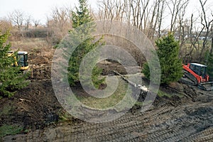 Felling Trees during Land Excavation photo