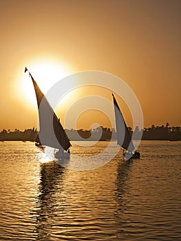 Felluca sailing on the River Nile at sunset