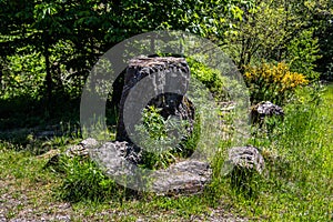 Rock in a clearing in the forest photo