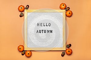 Felt boar with text Hello autumn, pumpkin on orange color background Top view Flat lay Seasonal concept Hello September, October,