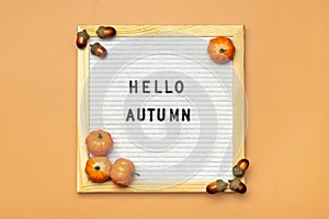 Felt boar with text Hello autumn, pumpkin on orange color background Top view Flat lay Seasonal concept Hello September, October,