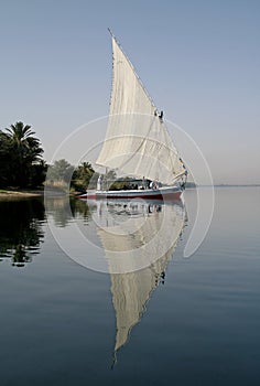 Felucca