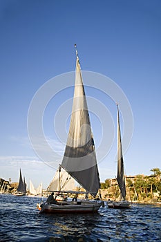 Felucca Boat Ride at Aswan