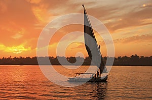 Felucca boat sailing on the Nile river at sunset, Luxor