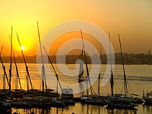 Felucca boats at the harbor at sunset, Luxor