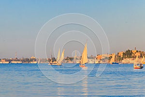 Felucca boats sailing on the Nile river in Luxor, Egypt. Traditional Egyptian sailing boats