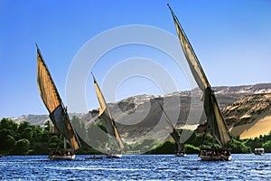 Felucca Nile cruise