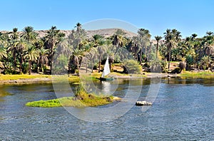 Felucca on the Nile River in Egypt