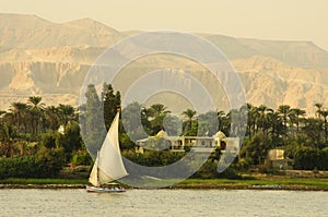 Felucca sailing down the Nile.