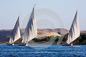 Feluccas on the Nile