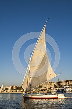Feluccas on nile at Aswan.