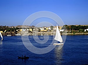 Feluccas on River Nile photo
