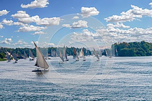 Feluccas sailing along the Nile River - Egypt