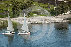 Feluccas sailing on the Nile near Aswan, Egypt