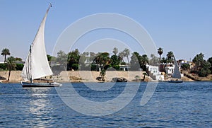 Feluka on the Nile