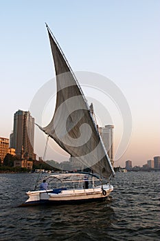 Felukah under sail