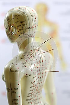 Acupuncture model photo