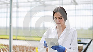 Female agricultural enginee with tablet computer walking along greenhouse, examining state of plants and passing by farm