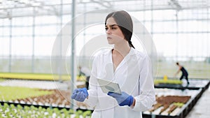Female agricultural enginee with tablet computer walking along greenhouse, examining state of plants and passing by farm